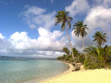 Plage Bois Jolan Sainte Anne